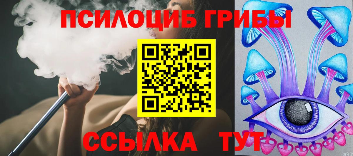 Галлюциногенные грибы Psilocybe  Псилоцибиновые грибы прущие грибы  Вход с VPN  Нефтекумск 