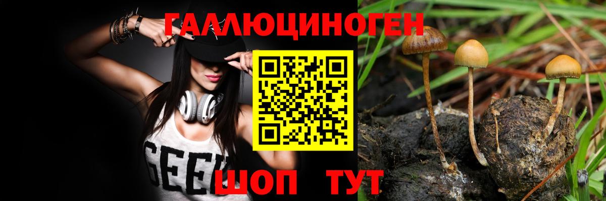 Галлюциногенные грибы мицелий Нефтекумск
